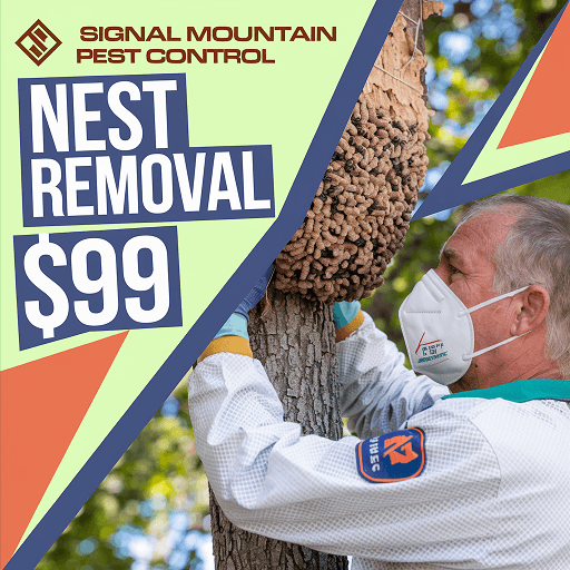 Nest Removal