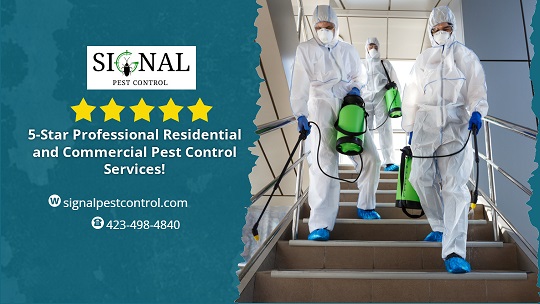 Professional Pest Control